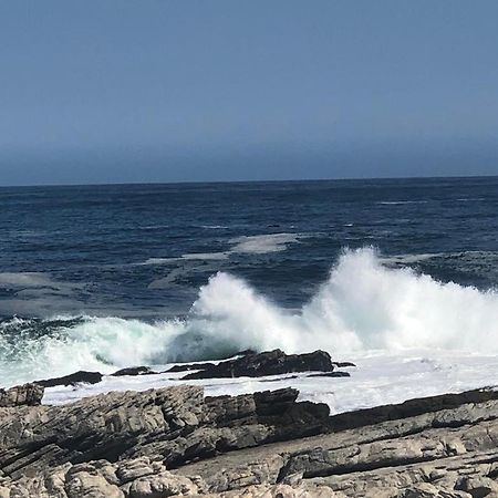 Hermanus Beach Club - St Tides House 19 Hotel Exterior foto